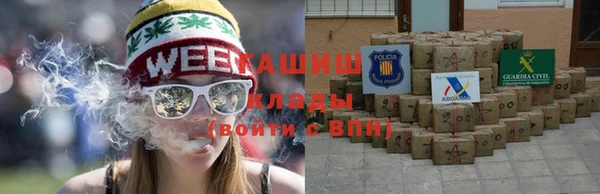 прущие грибы Калач