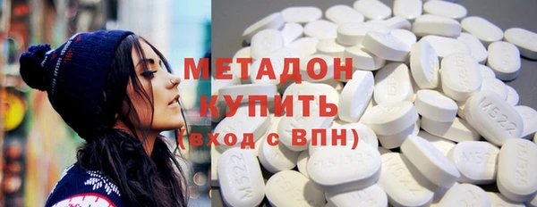 прущие грибы Калач