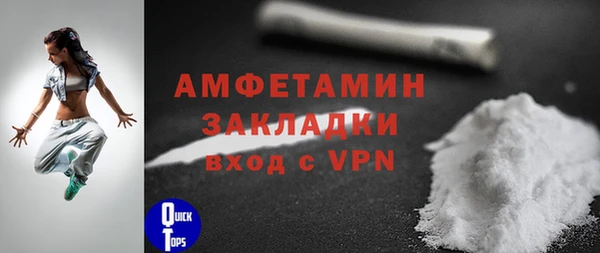 прущие грибы Калач