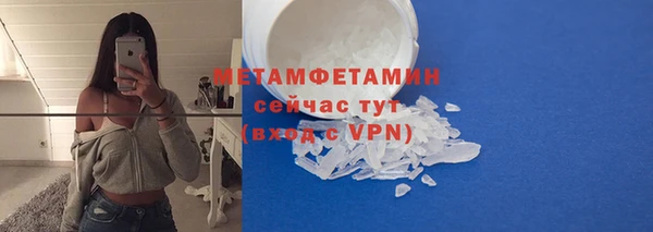 прущие грибы Калач