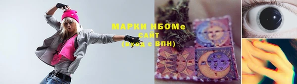 прущие грибы Калач
