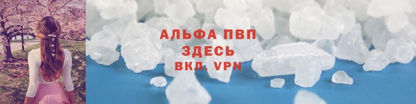прущие грибы Калач