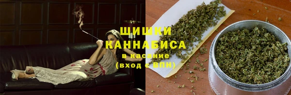 прущие грибы Калач