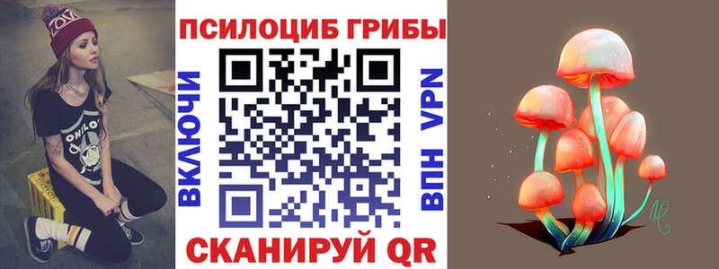 купить  сайты  Киренск  гидра ссылка  Псилоцибиновые грибы Magic Shrooms 