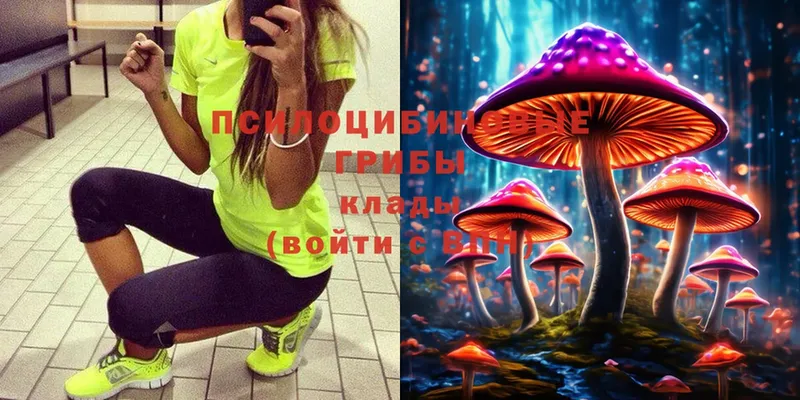 гидра   где купить наркоту  Киренск  Псилоцибиновые грибы Psilocybine cubensis 